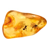 Amber