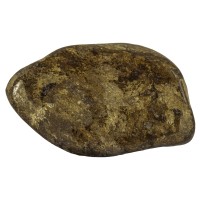 Bronzite