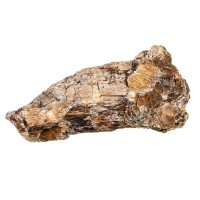 Bronzite