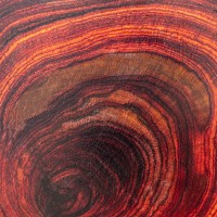 Exotic woods - Rosewood