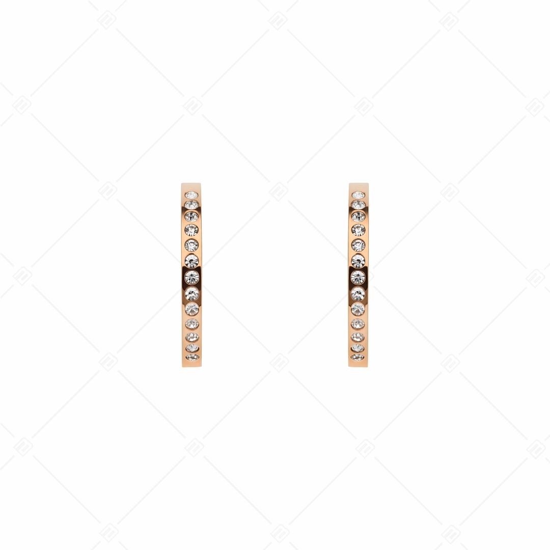 BALCANO - Carina / Earrings with zirconia crystals (141112BC96)