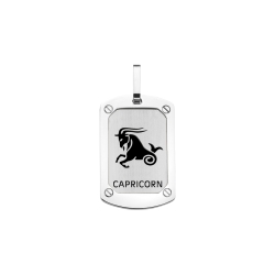 BALCANO - Capricorn / Horoscope pendant, high polished - Capricorn