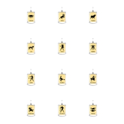 BALCANO - Zodiac Pendentif - Pack des 12 signes du zodiaque